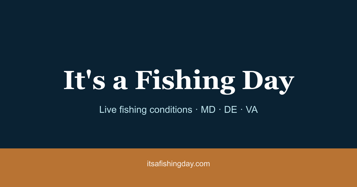 Michigan Fishing Report — Live Tides, Score, Conditions