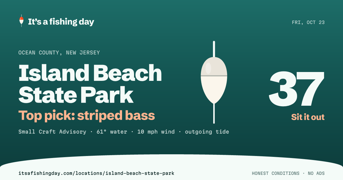 Island Beach State Park: Live Fishing Conditions Today